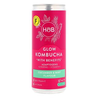 Holland & Barrett Glow Kombucha 250ml