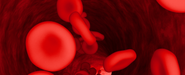 low_hematocrit_levels