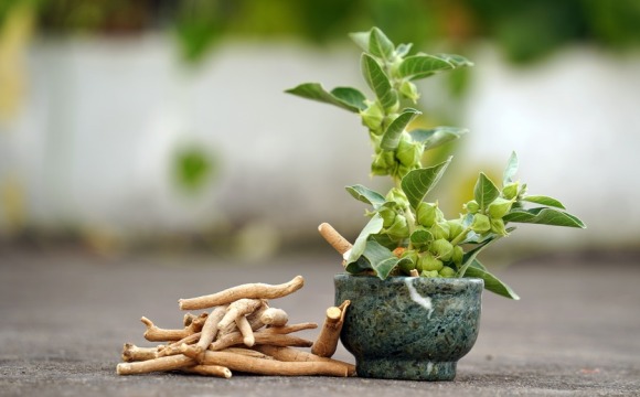 ashwagandha