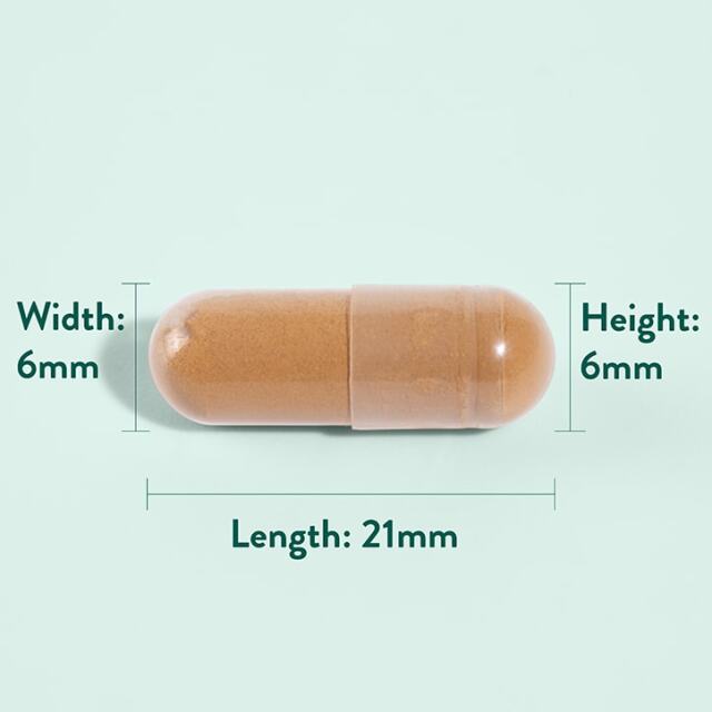 Holland & Barrett Astragalus 470mg 90 Capsules - 4