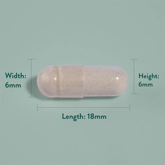 Holland & Barrett Ginseng Complex 120 Tablets - 4