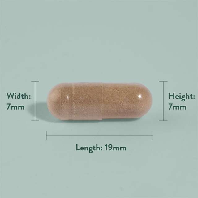 Holland & Barrett Pycnogenol 30mg 30 Capsules - 4