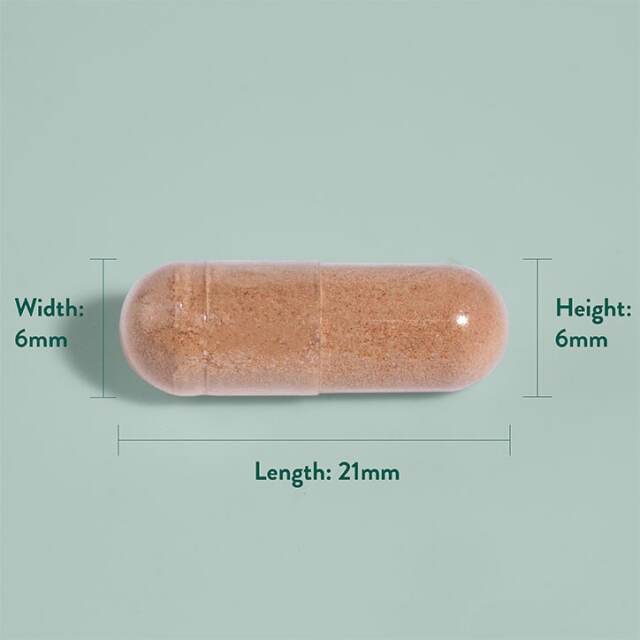 Holland & Barrett Pycnogenol 60mg 30 Capsules - 4