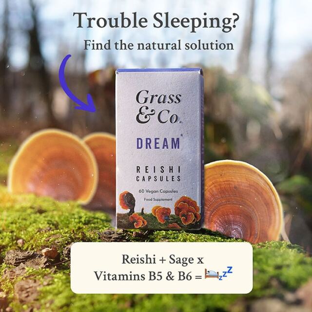 Grass & Co. DREAM Reishi Mushrooms with Magnesium + Sage, 60 Vegan Capsules - 4