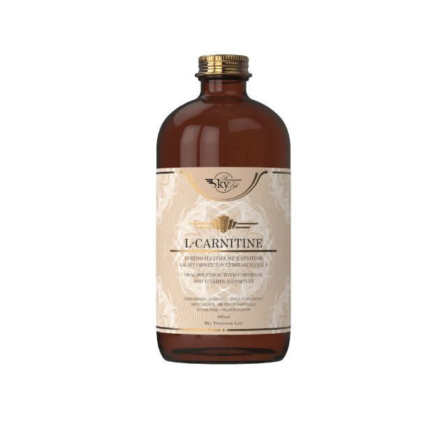 sky_premium_life_l-carnitine_with_orange_flavor_480ml_9000434