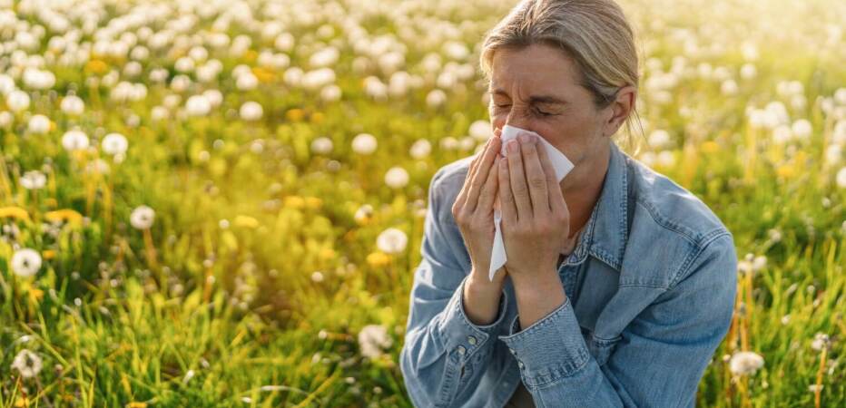 allergy
