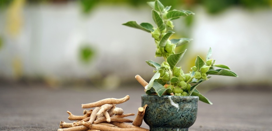 ashwagandha