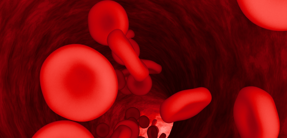low_hematocrit_levels