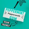 Peppersmith 100% Xylitol Fine English Peppermint Chewing Gum 15g - 2