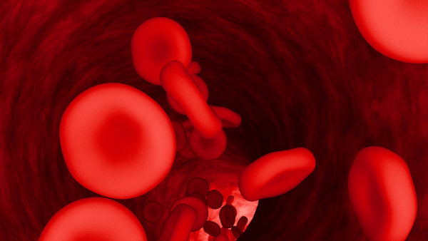 low_hematocrit_levels